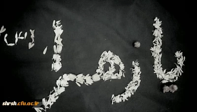 مراسم پر فیض شهادت حضرت زهرا (س)