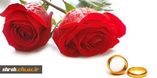 مسابقه ویژه زوجهای جوان دانشگاه فرهنگیان فارس