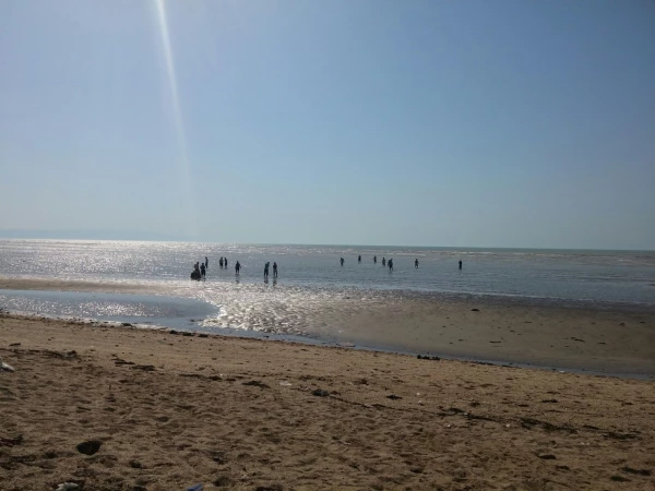 بازدید علمی دانشجویان رشته فیزیک از نیروگاه اتمی بوشهر