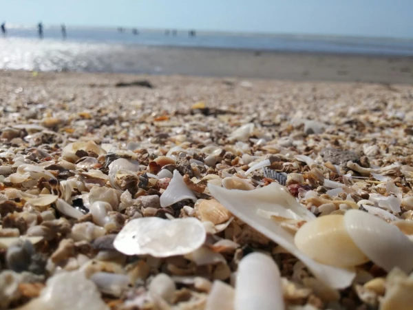 بازدید علمی دانشجویان رشته فیزیک از نیروگاه اتمی بوشهر