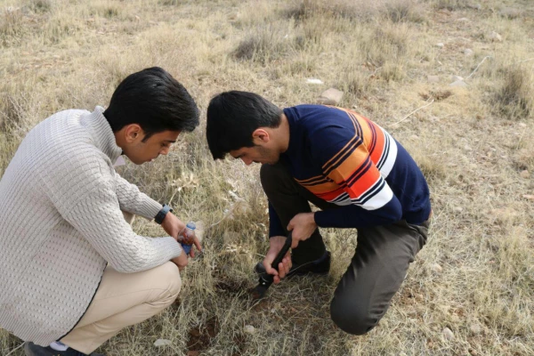 شرکت دانشگاه فرهنگیان در طرح ملی جنگلانه

 4