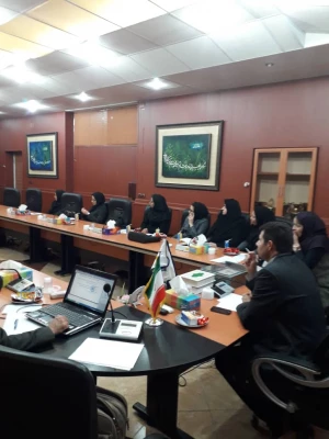 کارگاه هم اندیشی و دانش افزایی اساتید و مدیران گروه پردیس شهید رجایی شیراز 4