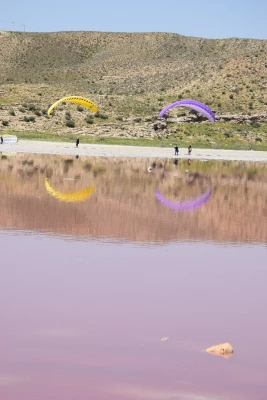 معلم محیط بان