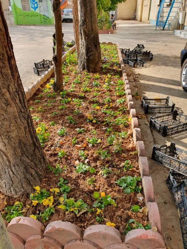 گل کاری فضای سبز پردیس شهیدرجایی توسط کانون محیط زیست  4