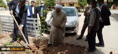 کاشت درخت به مناسبت روز درختکاری و هفته محیط زیست