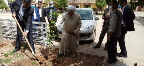 کاشت درخت به مناسبت روز درختکاری و هفته محیط زیست 2