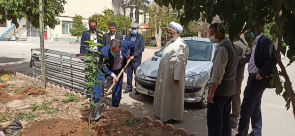 کاشت درخت به مناسبت روز درختکاری و هفته محیط زیست 3