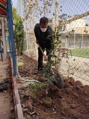 کاشت درخت به مناسبت روز درختکاری و هفته محیط زیست 5